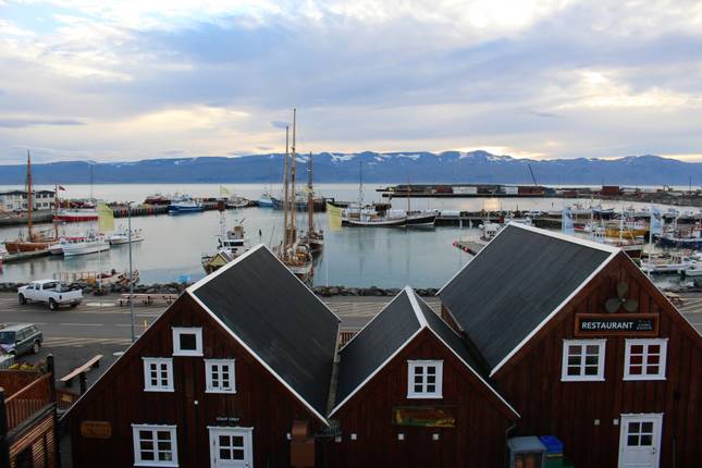 Best of Iceland (2026)