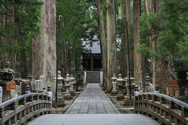 14 Days Japan Panoramic Historical Tour (private guide & driver)