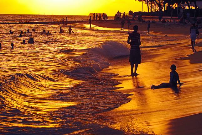 Grand Hawaiian Adventure Four Islands featuring O'ahu, Big Island, Maui and Kauai (Honolulu, HI to Lihue, HI) (2025)