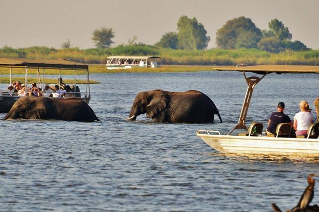 Wilderness of Southern Africa: Safari by Land & Water  (Johannesburg to Victoria Falls) (2025)