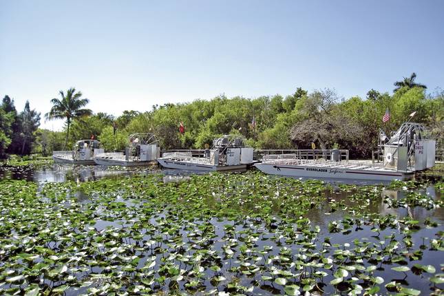 Florida Sunshine State