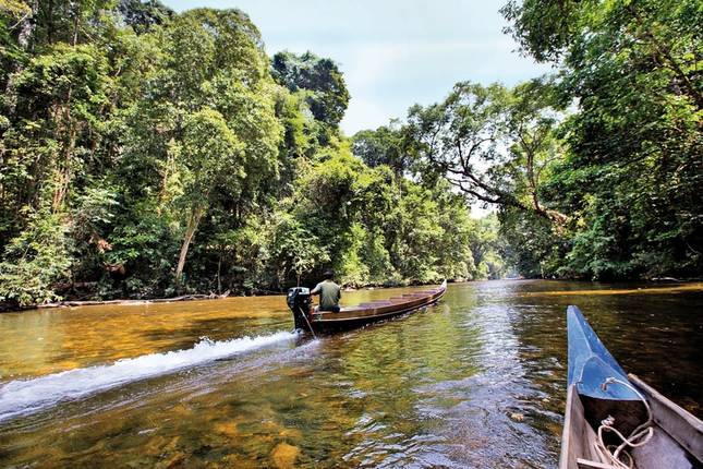 Taman Negara (2 nights)