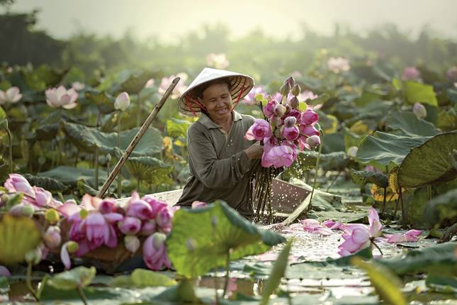 The faces of Vietnam - The South