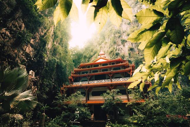 Taman Negara (3 nights)