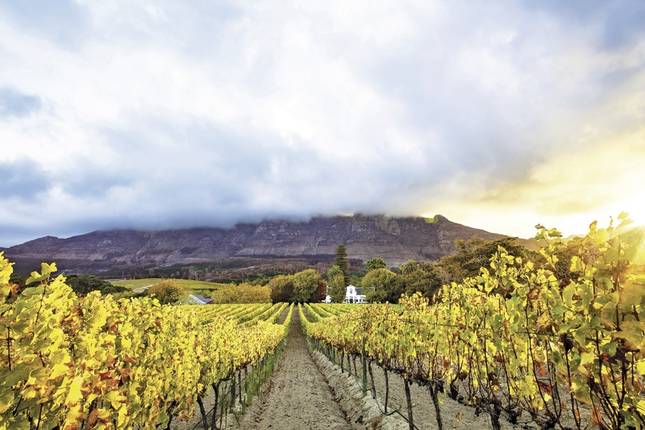 South Africa to stay (Cape Town-Johannesburg)