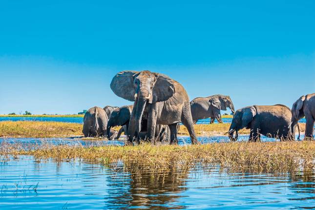 At the pulse of nature