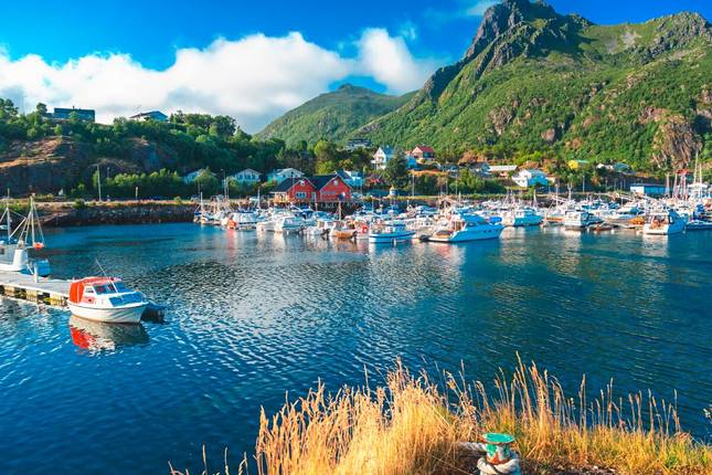 Lapland, Lofoten and North Cape (from Tromso)