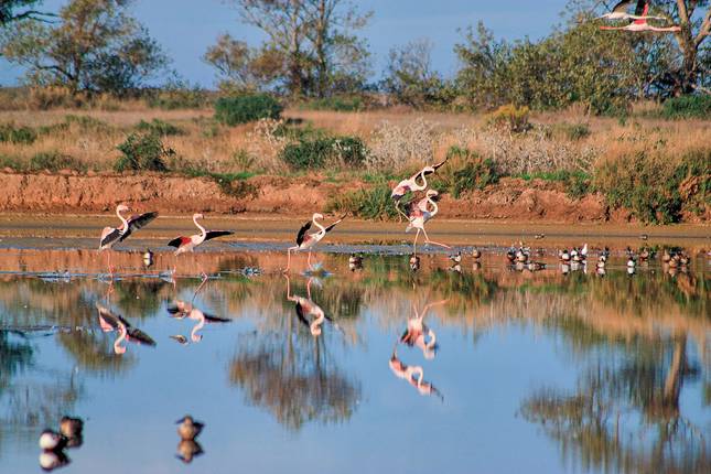 Hiking the highlights of the Algarve