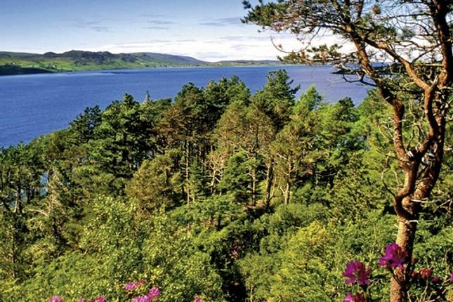 Scotland's fascinating Island Dream