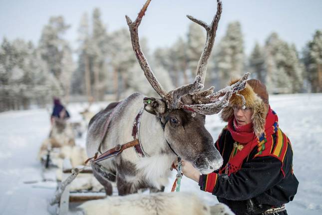 Finnish winter week in the Arctic