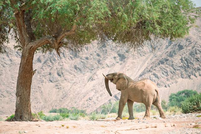 Namibia fur Geniesser