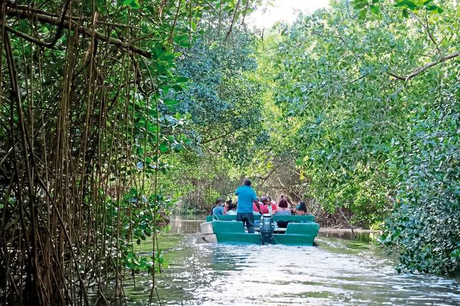 Discover Trinidad