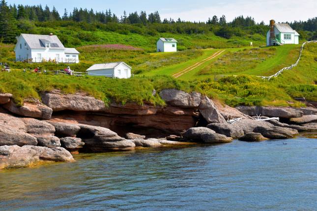 Scenic Wonders of Newfoundland and Labrador