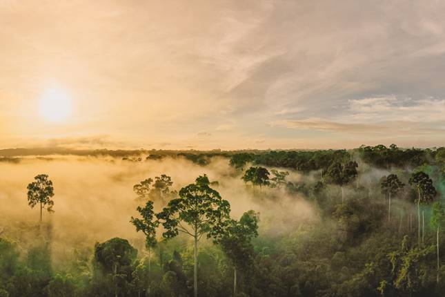 Adventure Malaysia: Borneo's jungle secrets