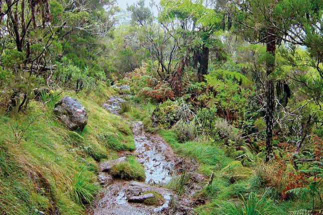 La Reunion - Island of a thousand faces