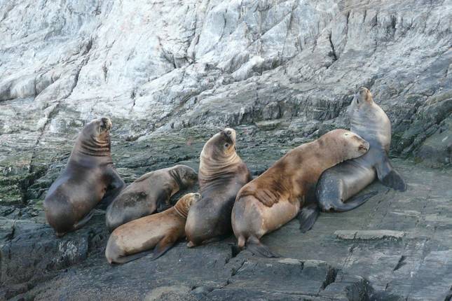RIO to Lima Kingdoms & Carnivals (97 days)
