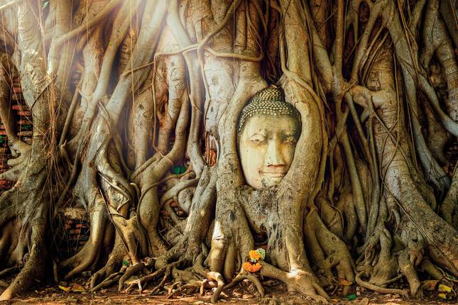 Northern Thailand Kaleidoscope (private tour, without Bangkok)