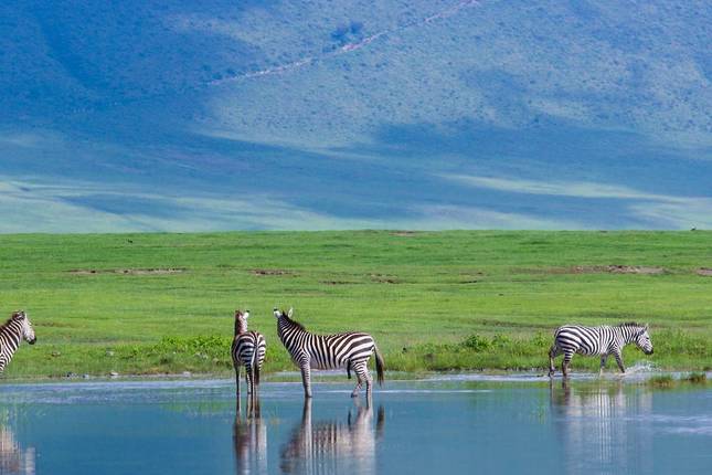 The Best of Serengeti and Ngorongoro Safari