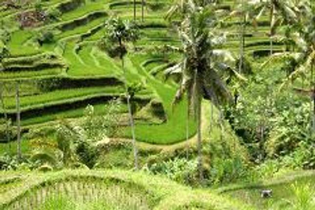 Bali - Island of Inspiration