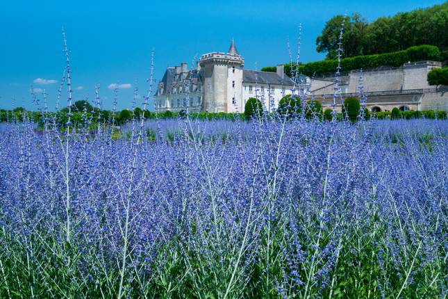 French Dream (including Beynac)