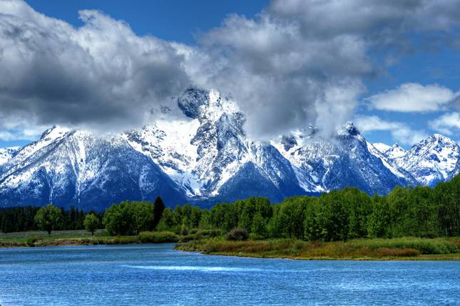 Womens Wild Wyoming Backpack