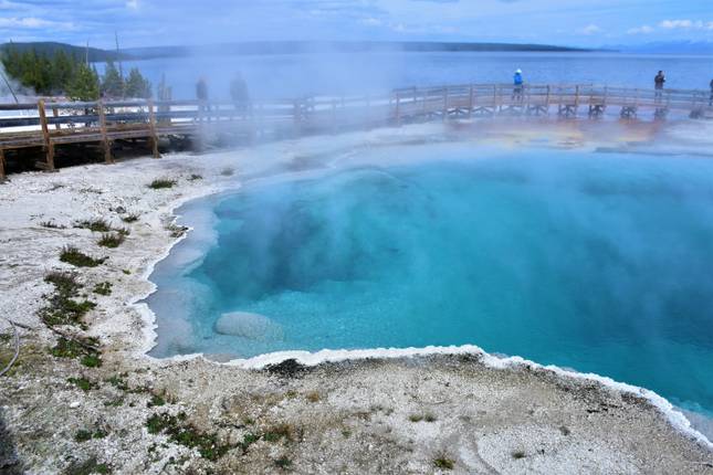 6-Day Yellowstone & Glacier Tour from Calgary (Small Group)