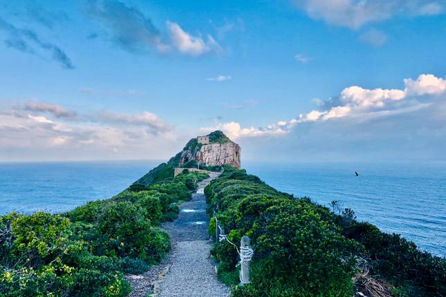 Icons of Southern Africa