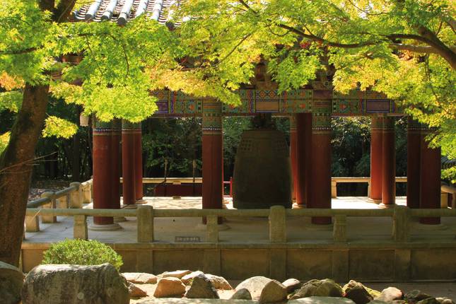 South Korea ─ Pure Life