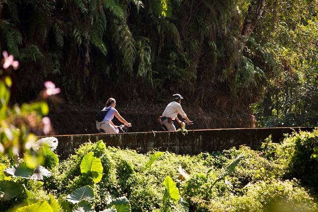 Natural Paradise Taiwan