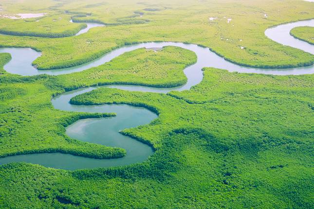 Discover The Gambia
