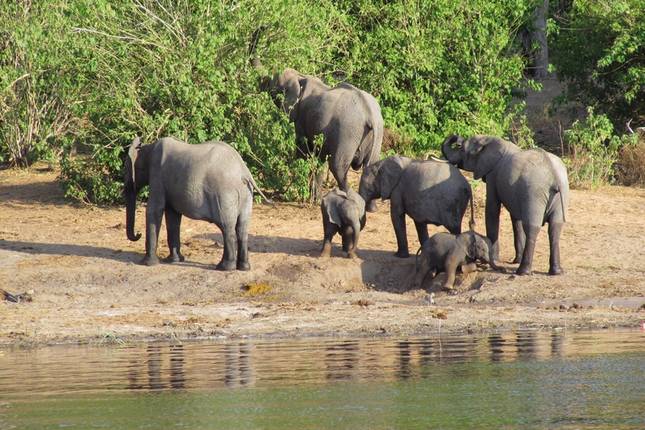 Zambezi Queen 3 Days