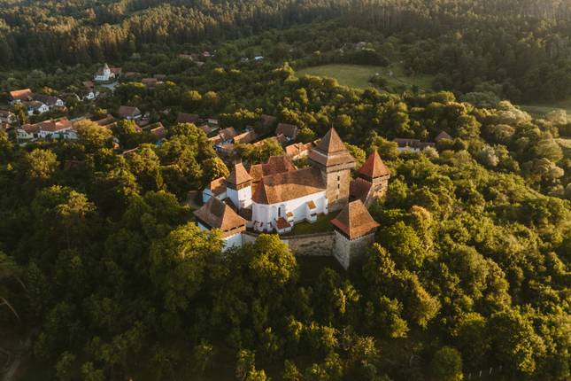 Natural Therapies in the Heart of the Carpathian Mountains