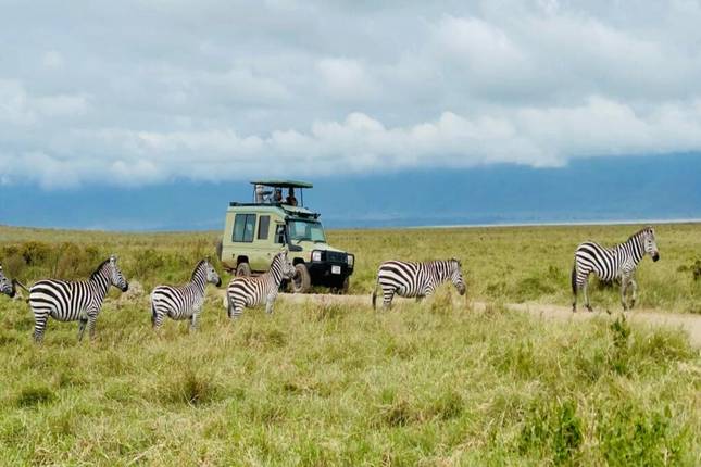 Experience Kenya Masai Mara Big 5 Safari