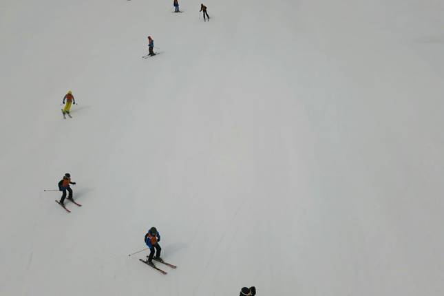 Ski New Zealand (Plus)