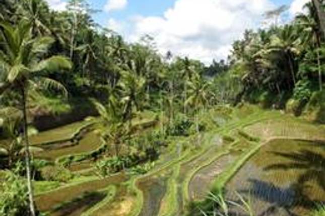 Bali, Lombok & Komodo - 19 days