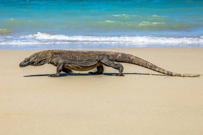 Bali, Lombok & Komodo - 19 days