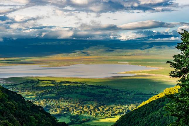 10-Days Geluxe: Tanzania: Chimp Trekking & Serengeti Safari