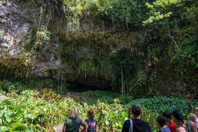 Aloha Hawaii Discovering Kauai and Maui (Lihue, HI to Maui, HI) (2026)