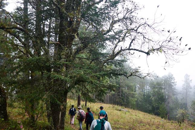 The Enchanting Sierra Norte Trek 3D/2N