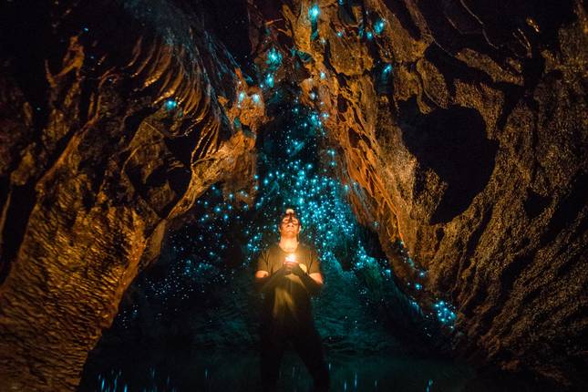 Premium New Zealand North Island