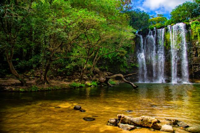 Costa Rica Road Trip: Jungle beats & Ocean Waves (8 destinations)