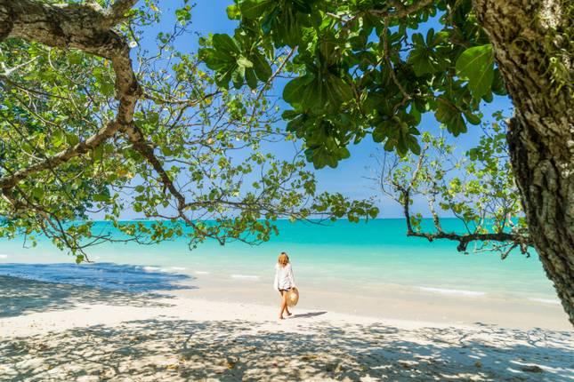 Thailand Tales: Temples, Trails & Tropical Escapes