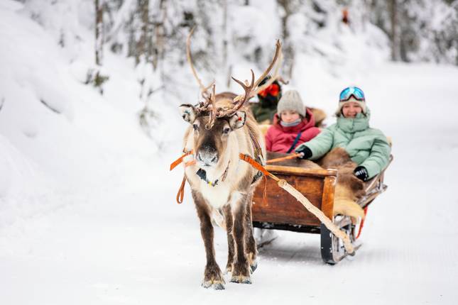 Lapland Winter Adventure (Superior) - 5 days