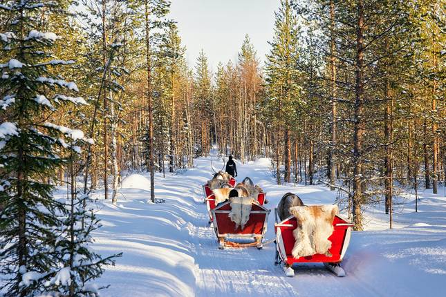 Lapland Winter Adventure - 5 days