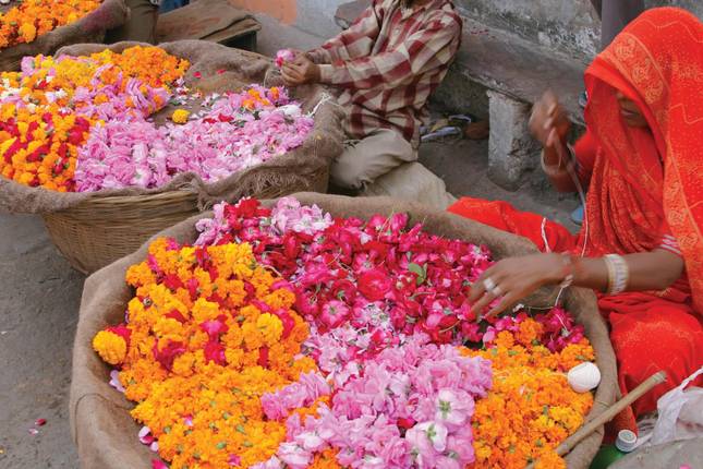 Kolkata and Lower Ganges Cruise Kolkata → Kolkata (2026)