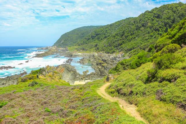 Discover South Africa's Garden Route