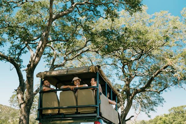 Cape to Delta Safari (Intra Tour Air Cape Town To Johannesburg)