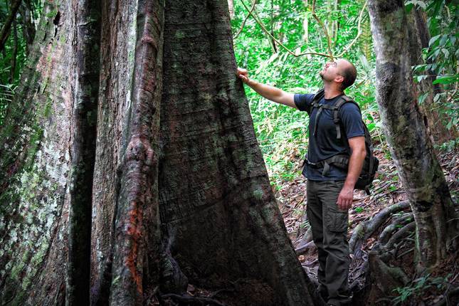 Wild Taman Negara Discovery - 4 days
