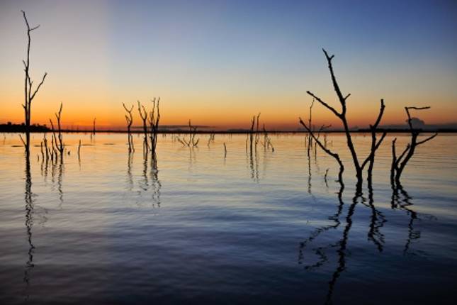 Southern Africa Unveiled: luxury tour, Rovos Rail and cruise journey of a lifetime