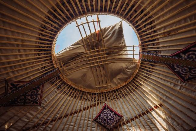 Snow Leopards of the Altai: Mongolia Wildlife Photo Expedition